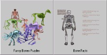 Funny Bones