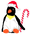 penguin
