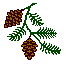 branch2