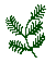 branch3