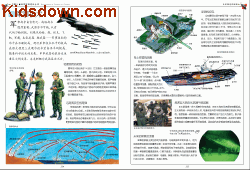 �й���ͯ��ѧ̽���ٿ�ȫ�������PDF������ͼƬ3