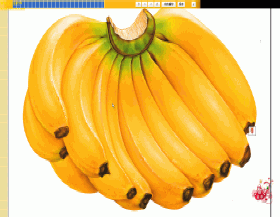 幼儿看图识物软件截图三―大香蕉