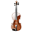 五线谱学习助记软件小提琴版的logo